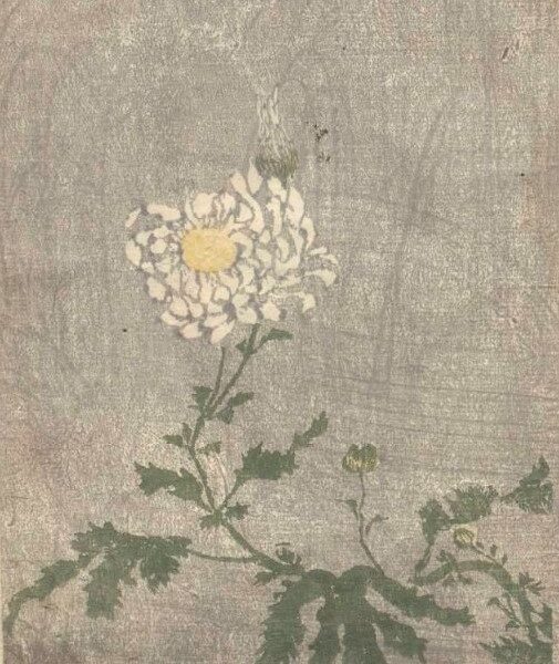 【令和７年　重陽の節句祭】～菊の節句～